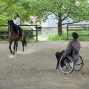 a man in a wheelchair looks at a person riding a horse