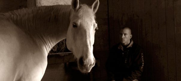 A man is next to a white horse