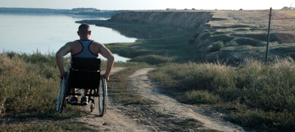 A man in a wheelchair with his back to the camera, looking at the shoreline